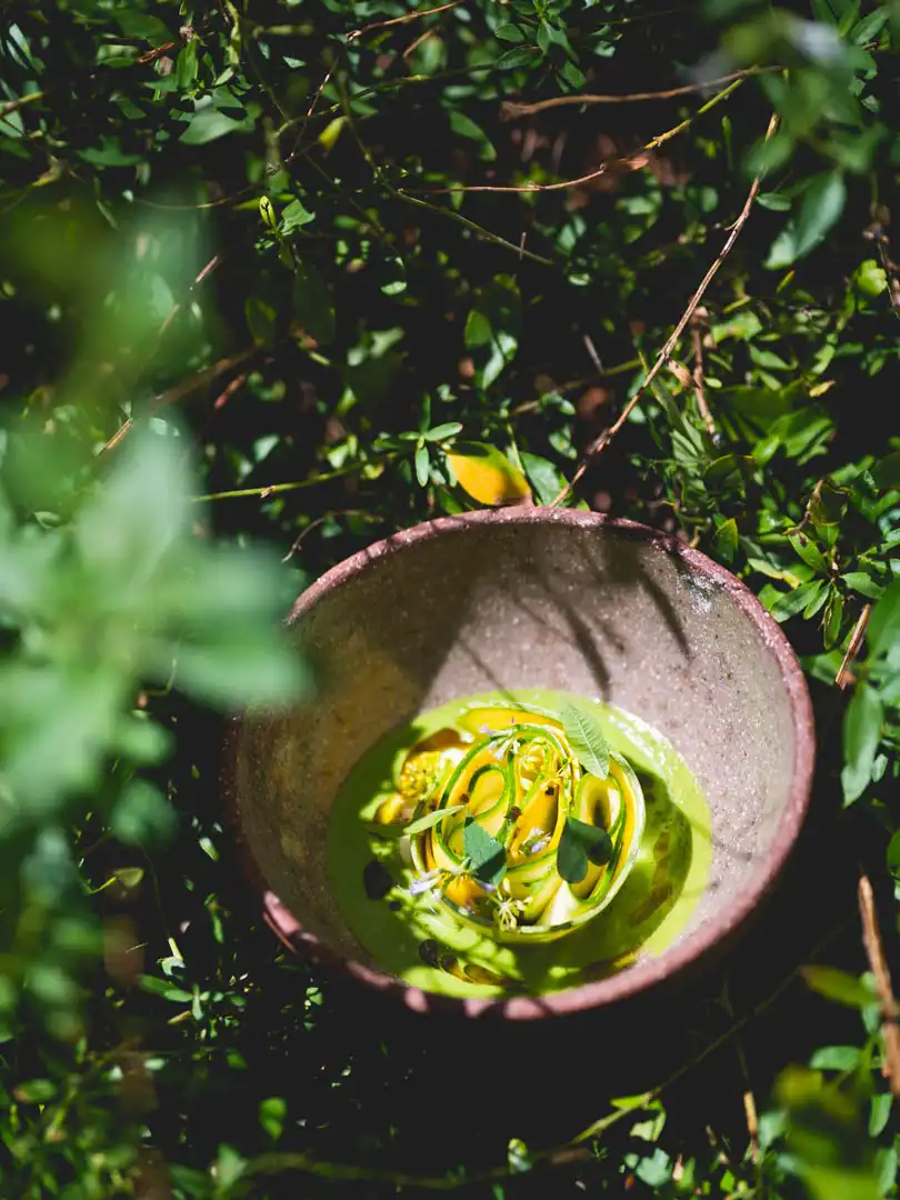courgette-prieure5
